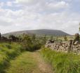 Pendle View