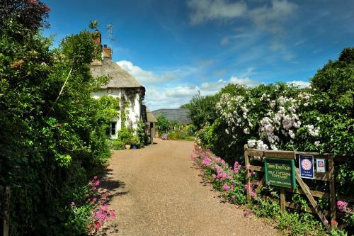 Town End Farm Cottages, Crowcombe, 