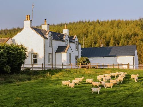 Diamonds Laggan, New Galloway, 