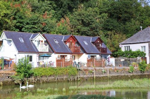 Kingfishers, Padstow, 