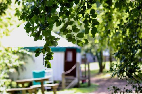 Yurtcamp Devon, Bovey Tracey, 