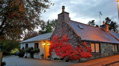 Lilyoak Bed & Breakfast, Leslie, 