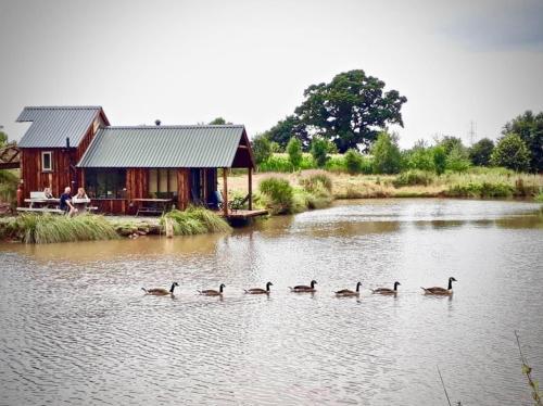 The Lake House @ Langford Court, Talaton, 