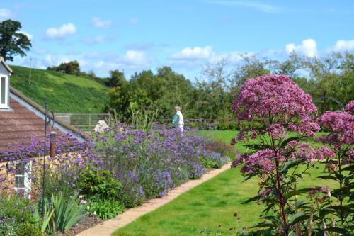 Lark Hill, Castle Cary, 