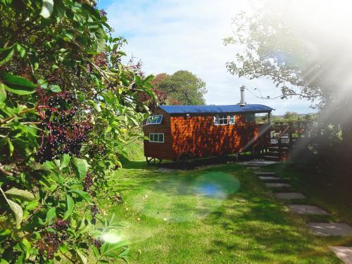 Shepherd's Hut - Little Modbury Farm, Modbury, 