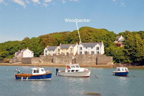 Woodpecker, Milford Haven, 