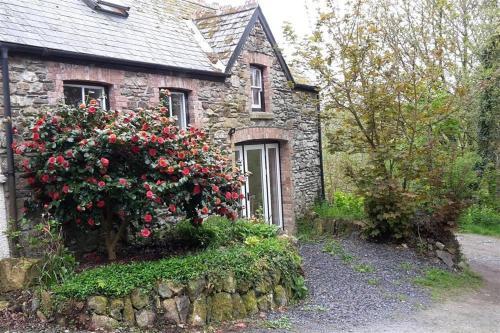 Cwmbrandy Cottage, Goodwick, 