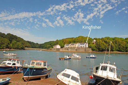 Kingfisher, Milford Haven, 