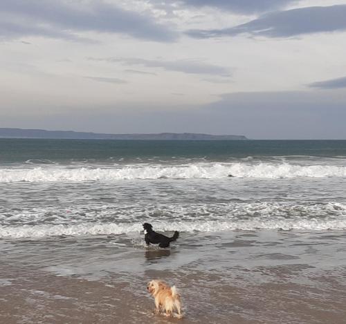 Townhouse, By The Sea, Ballycastle, 