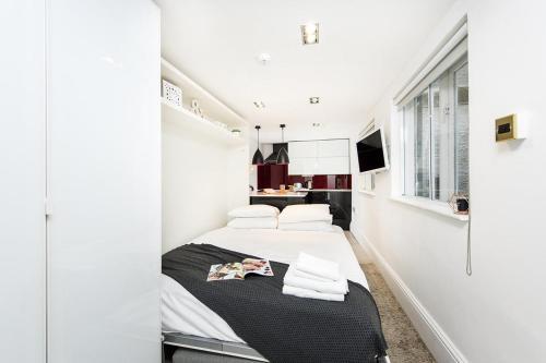 Intimate Apartment Near Regents Park, Regents Park, 