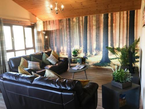 Silver Birch Lodge With Hot Tub Near Cupar Fife, Cupar, 