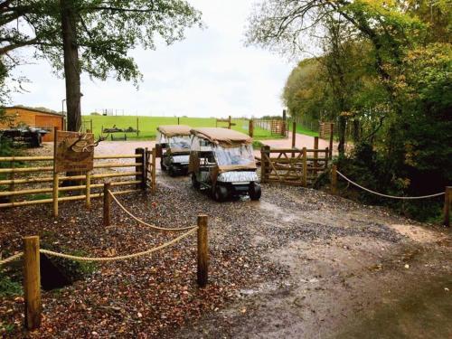 Luxury Safari Lodge Surrounded By Deer!! 'fallow', North Tawton, 