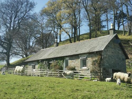 Shemore Farm Holiday Cottage, Luss, 