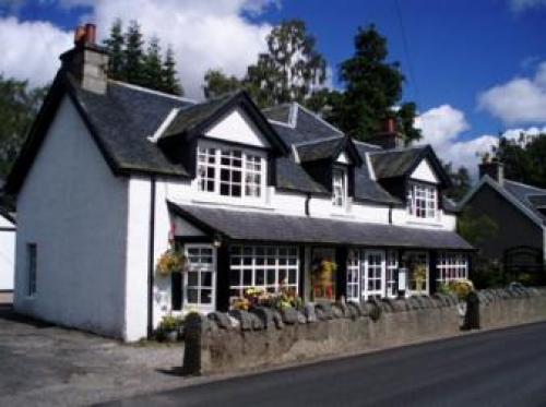 Tall Pines, Carrbridge, 