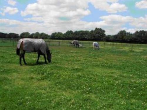 The Stables - Deer Park Farm, Dorridge, 