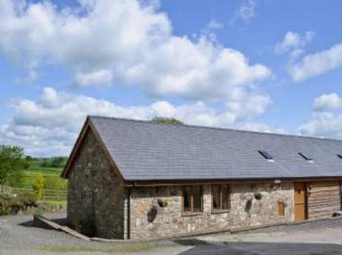 Y Dderwen At Brynglas Farm, Llanfyllin, 