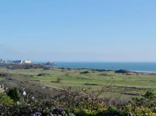 Caldley Island View, Tenby, 